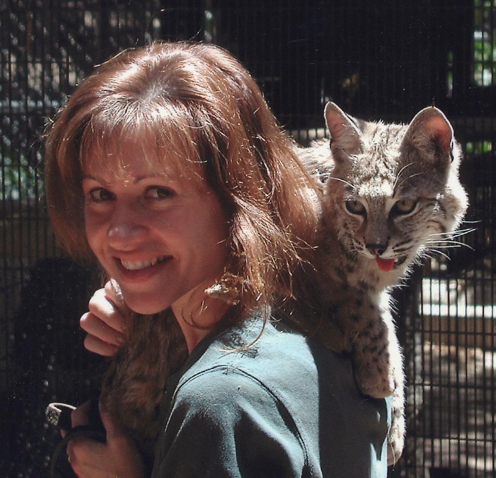 Leslie Kirchner Artist with bobcat